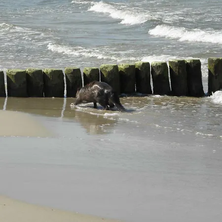 Achteridyll אוקריץ