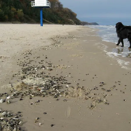 Achteridyll בית הארחה אוקריץ