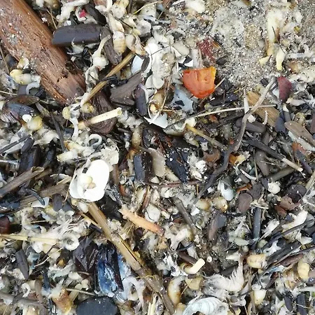 Achteridyll 4* אוקריץ