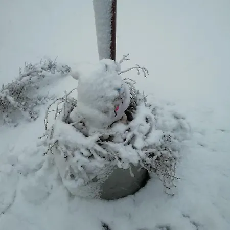 Achteridyll בית הארחה 4*