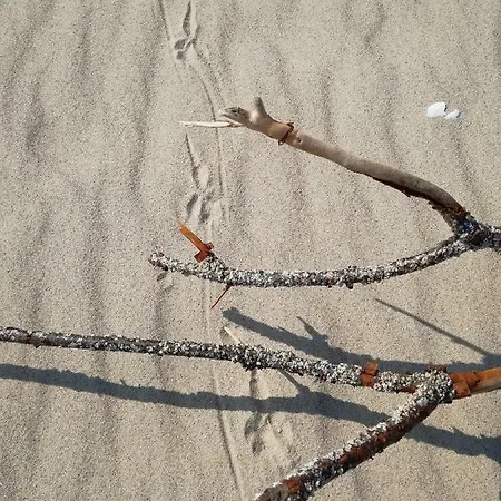 בית הארחה Achteridyll